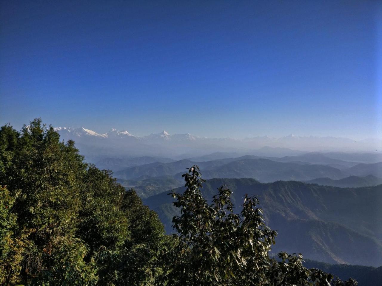 Simba Cafe & Lodge Binsar Ngoại thất bức ảnh