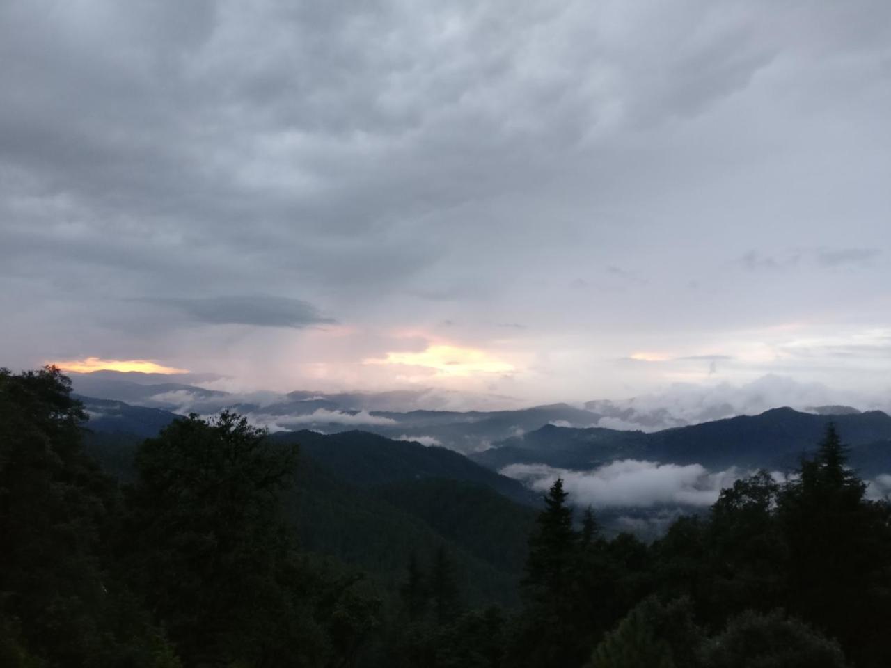Simba Cafe & Lodge Binsar Ngoại thất bức ảnh