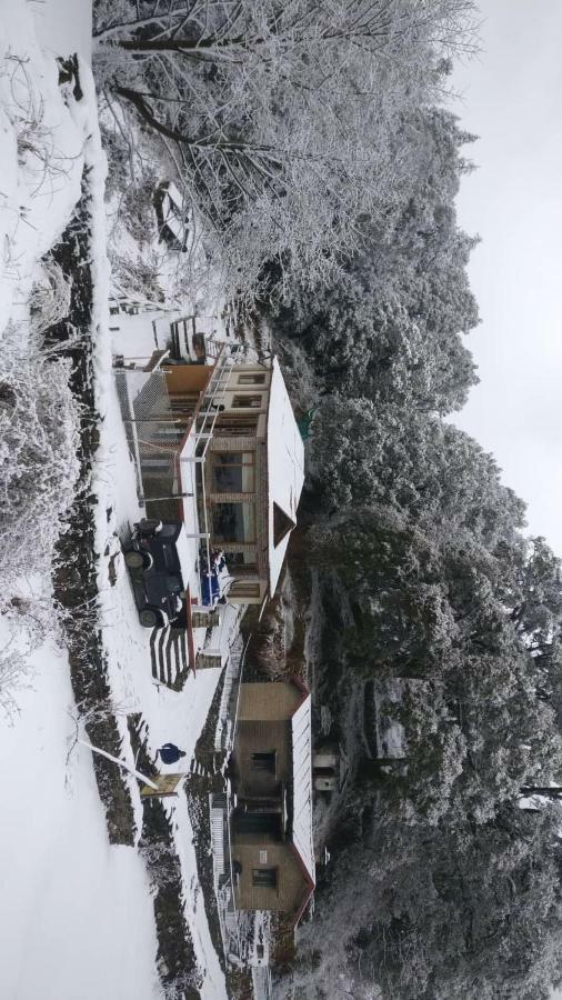 Simba Cafe & Lodge Binsar Ngoại thất bức ảnh