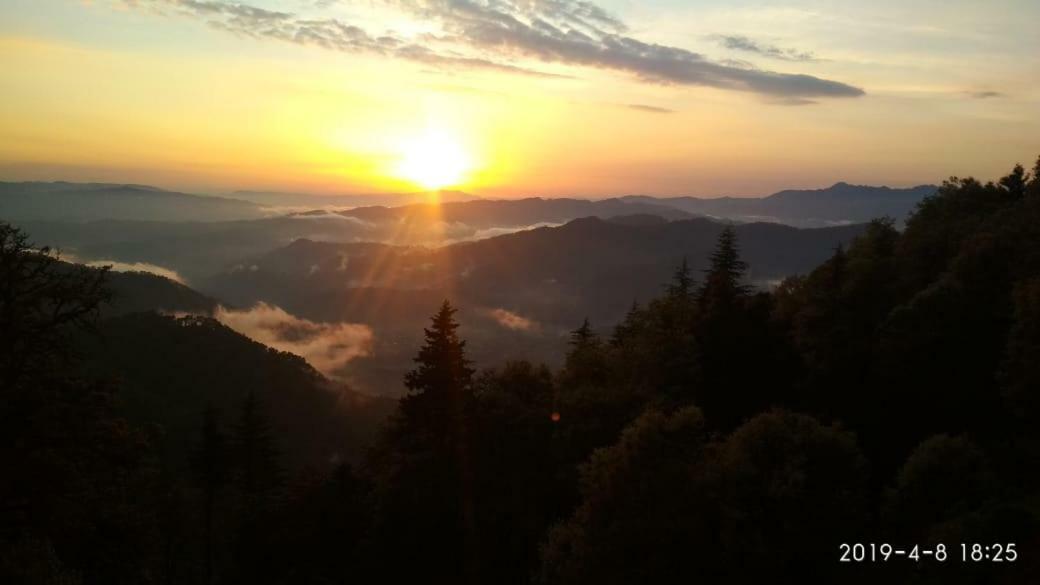 Simba Cafe & Lodge Binsar Ngoại thất bức ảnh